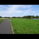 Der Radweg entlang des Mains